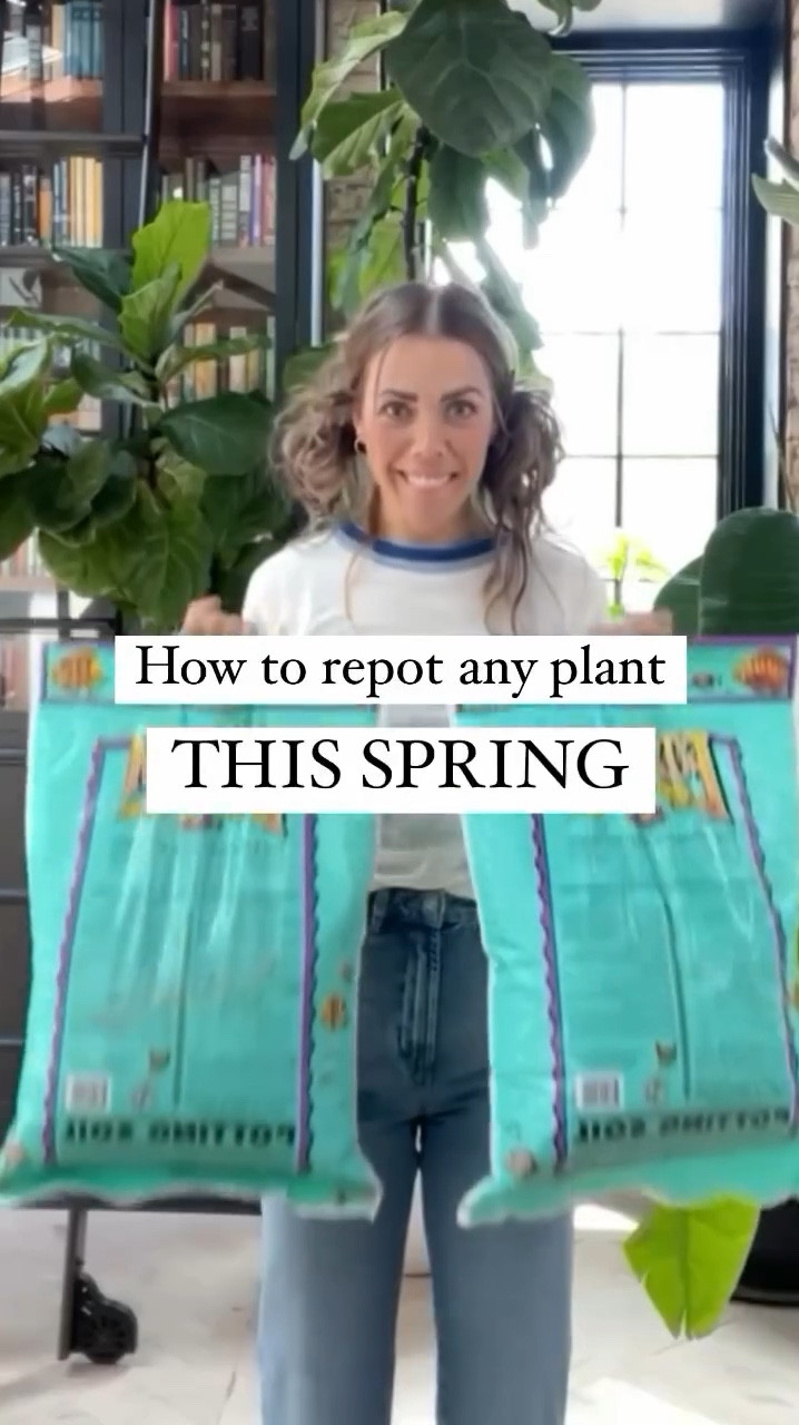 How to repot any plant!#LTKhome #LTKfindsunder50

#LTKSeasonal