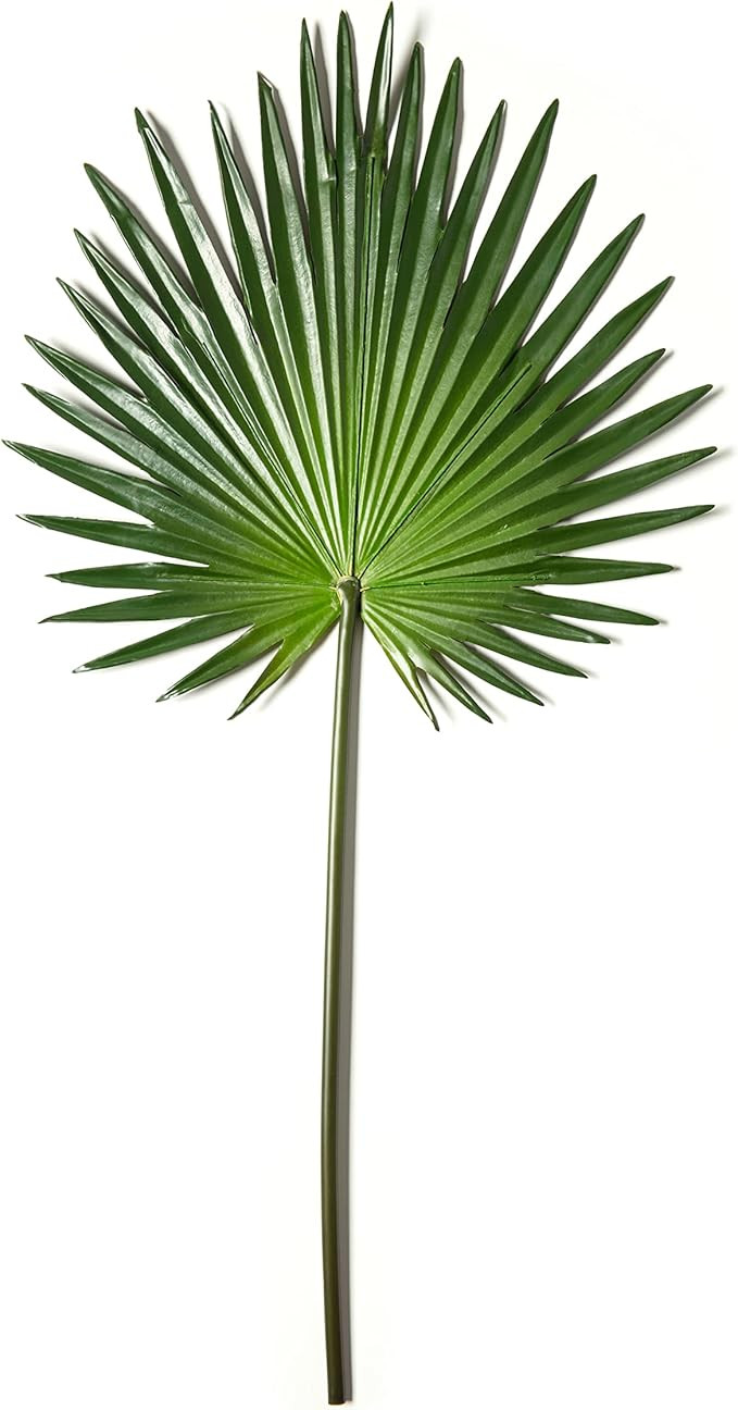 Artificial Fan Palm Leaf - 30" | Amazon (US)