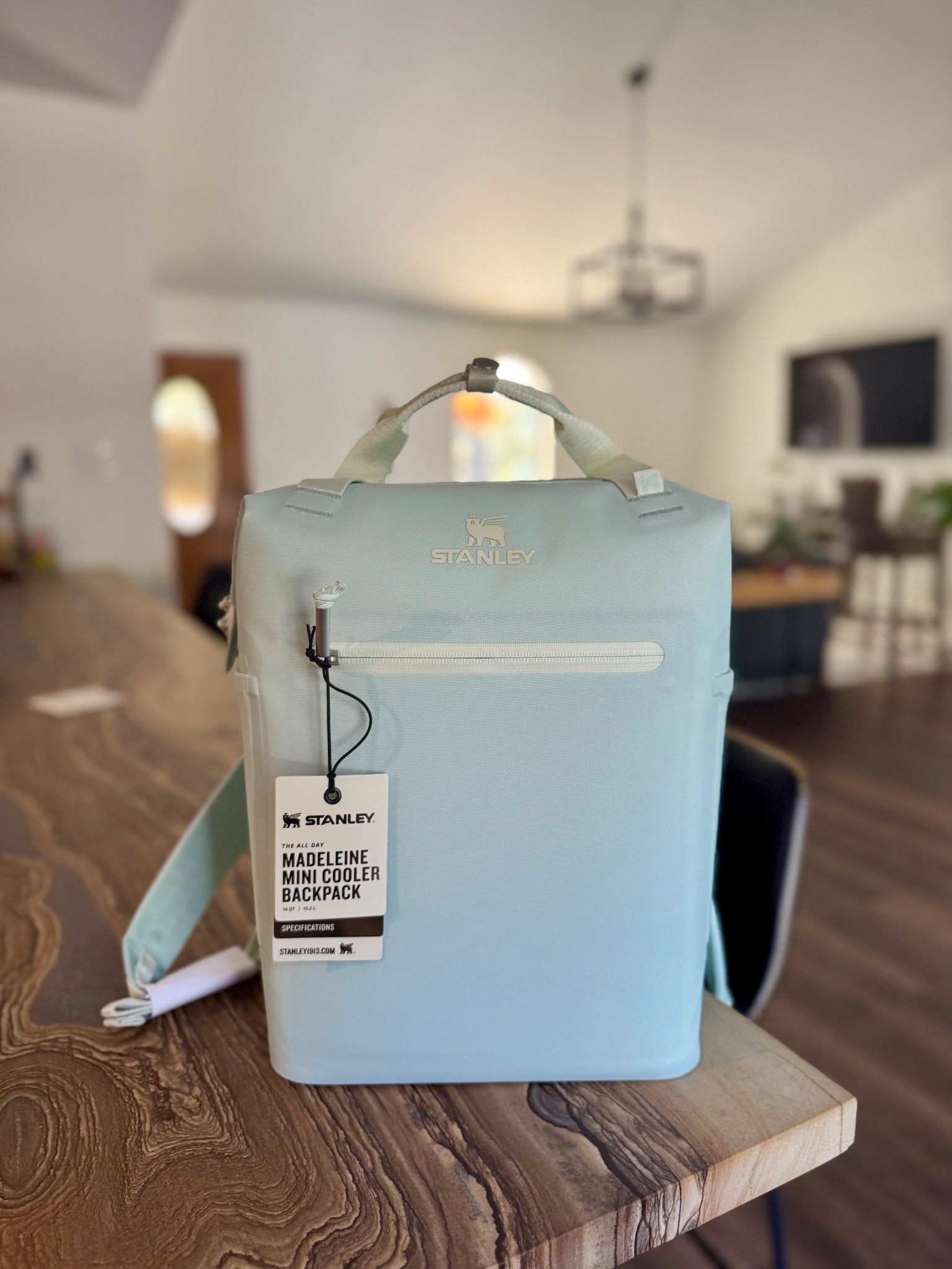 Gift yourself (like I did 😊) or someone else. Stanley 20 can backpack cooler  

#LTKGiftGuide