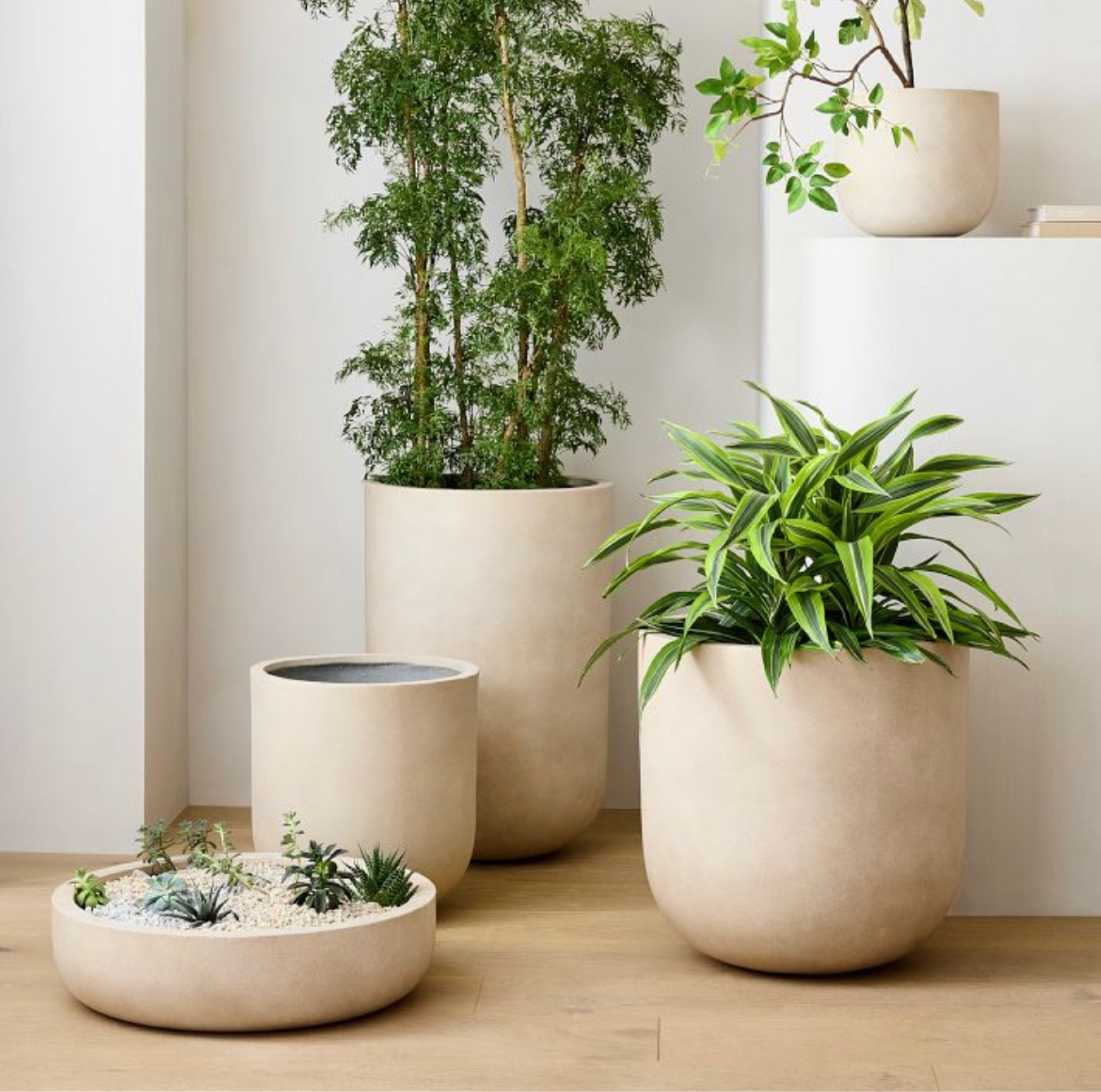 Just ordered these planters for our house! 

#LTKhome