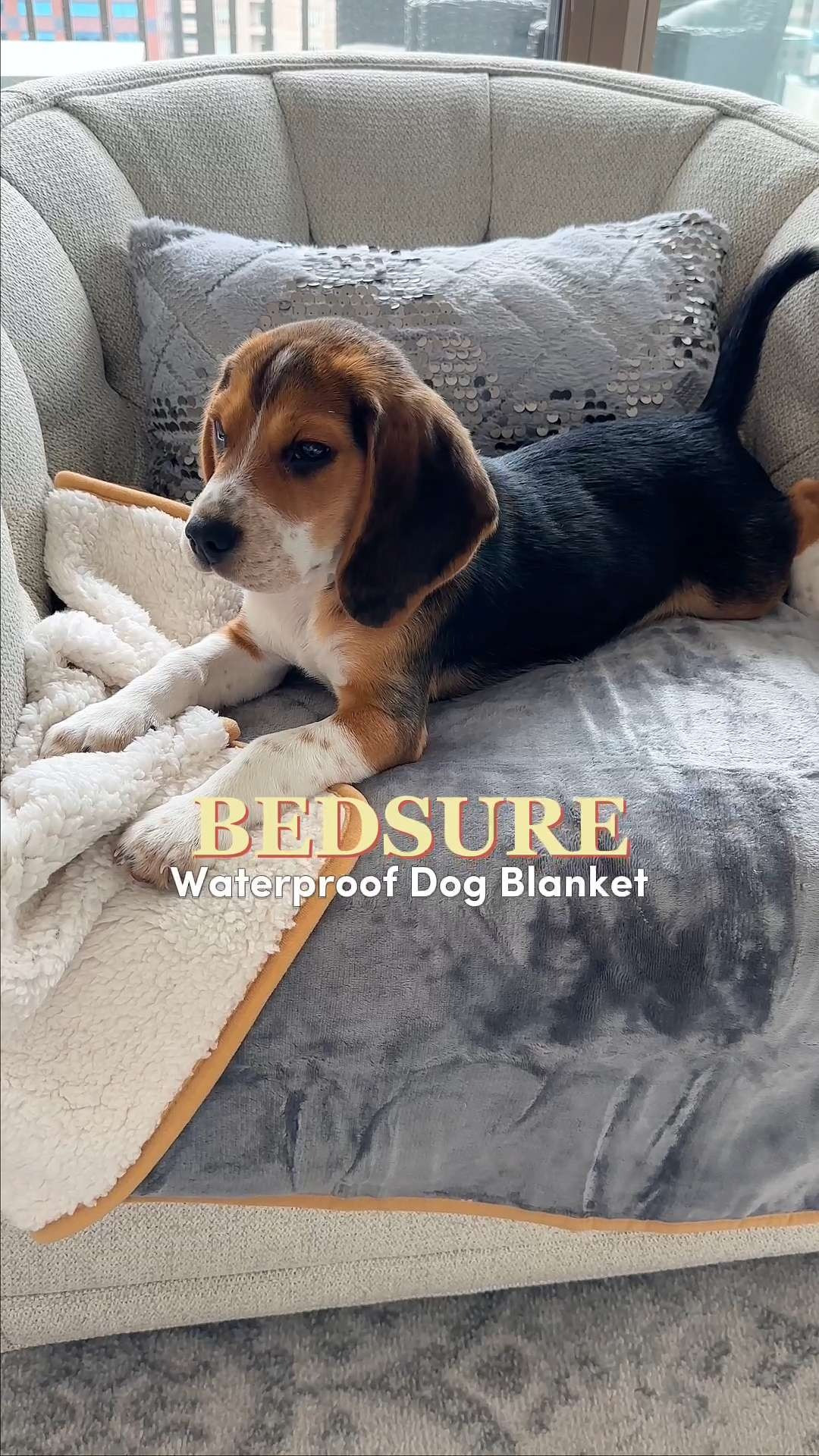 Save your sofa and snuggle up! 🛋️ The Bedsure Waterproof Blanket is incredibly durable and machine washable, making it perfect for car rides, camping trips, or protecting your duvet from "zoomie" dirt. This product is good for pet parents dealing with senior dog accidents, messy chewers, or those rainy day muddy paws! 🐕

#LTKHome #LTKunder40 #Bedsure #DogLife #HomeHacks #PetEssentials #DogTravel #WaterproofBlanket #PetFriendlyHome #LTKHome