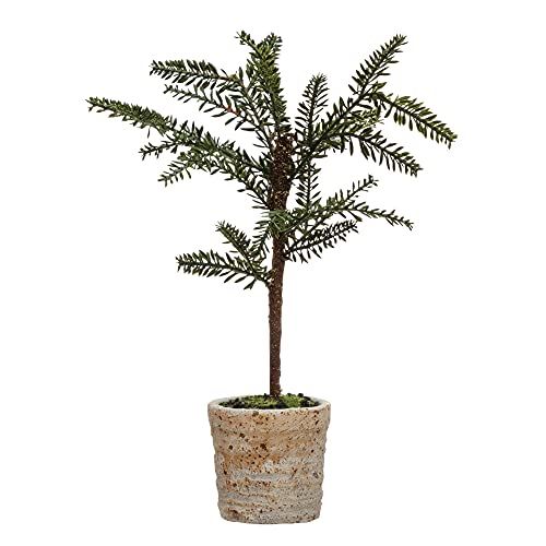Creative Co-Op Faux Pine Distressed White Terra-Cotta Pot Decorative Tree, Green | Amazon (US)