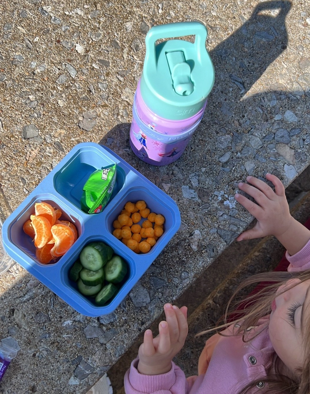 Big fan of these snack boxes!! 

Amazon find / snack box / toddler must have / travel must have / toddler travel / Amazon kids / Amazon toddler 

#LTKmomlife #LTKKids