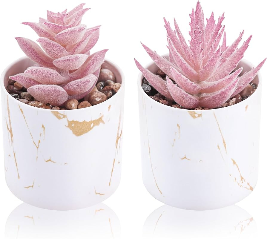 Der Rose Set of 2 Succulents Plants Artificial Mini Fake Succulents Plants for Office Desk Access... | Amazon (US)