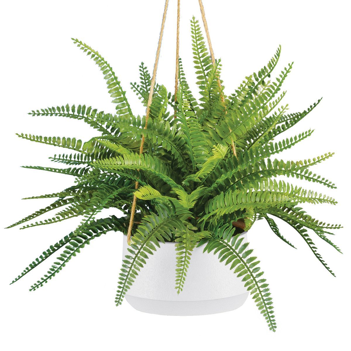 Collections Etc Realistic Looking Boston Fern Artificial Hanging Planter with White Plastic Base ... | Target