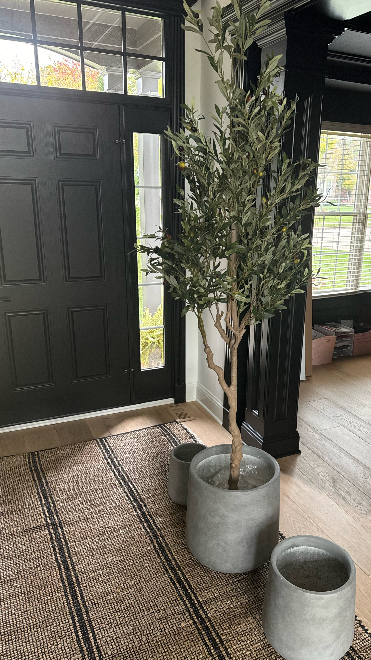 Faux olive tree and concrete planters

#LTKhome