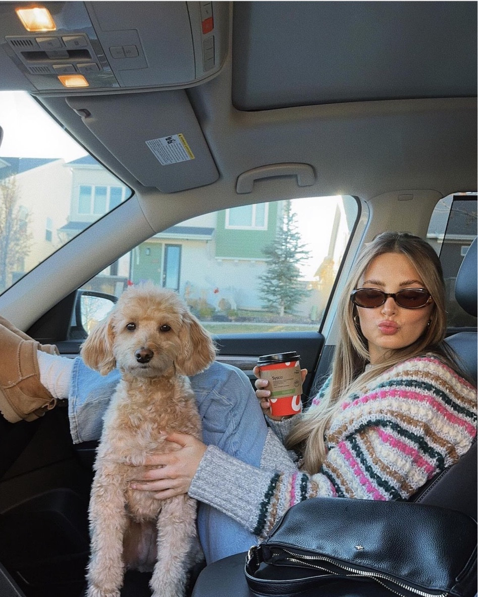 dog mom <3 sweater is from esprit but linked a few similar!

#LTKHoliday #LTKSeasonal #LTKstyletip