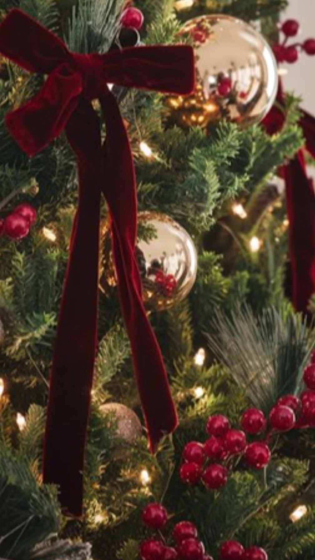 Velvet bows 

#LTKHoliday