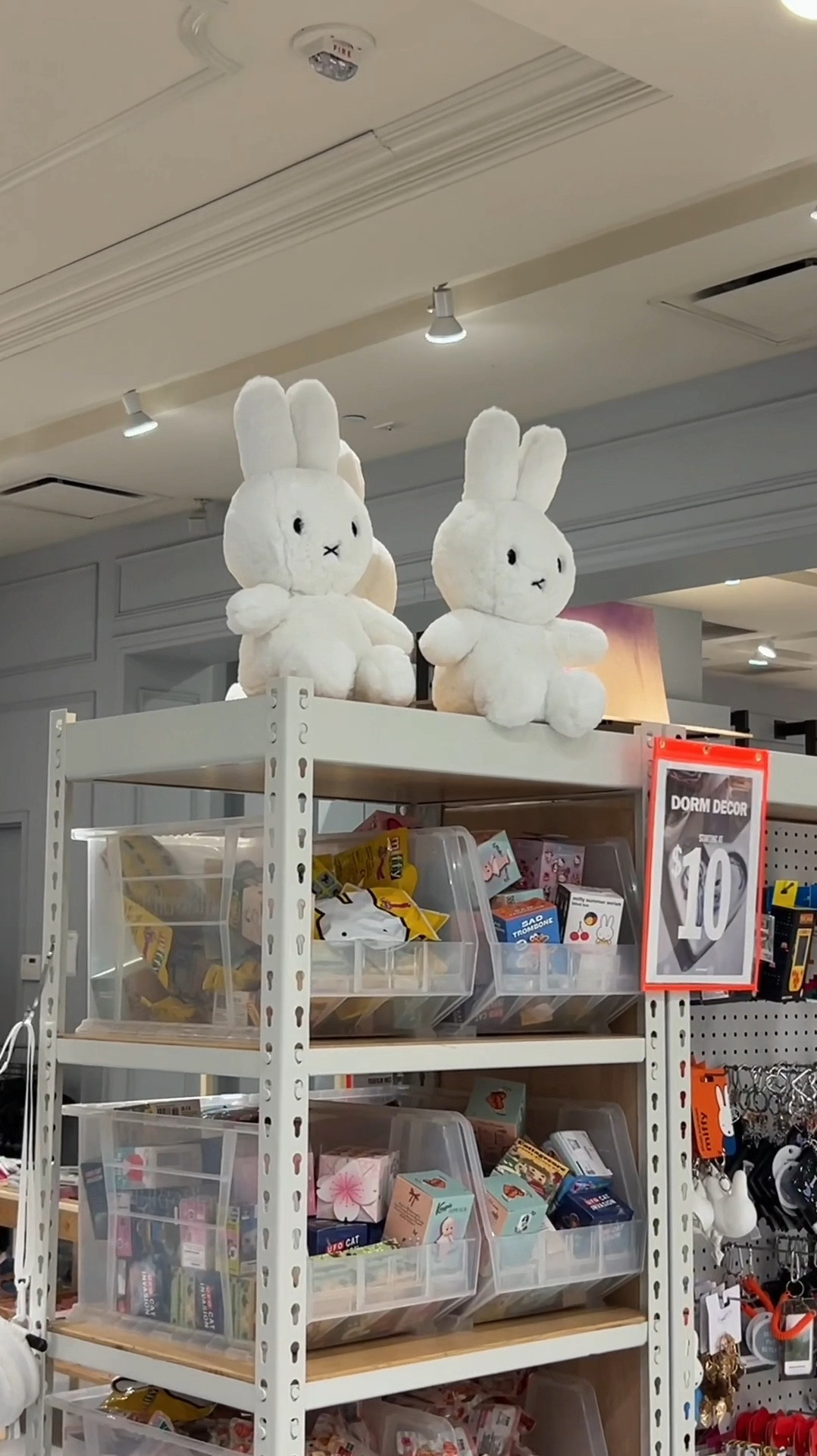 Miffy x Urban Outfitters!! Everything is so cute ☺️

#miffy #urbanoutfitters #blindbox #toys #stuffedanimal 

#LTKFamily #LTKFindsUnder50 #LTKKids