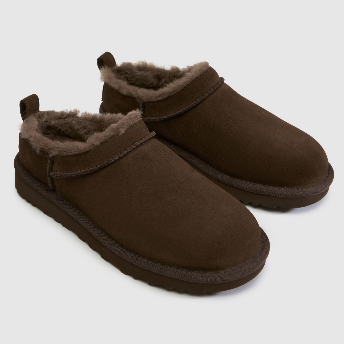 Womens Dusted Cocoa UGG Classic Micro Boots | schuh | Schuh