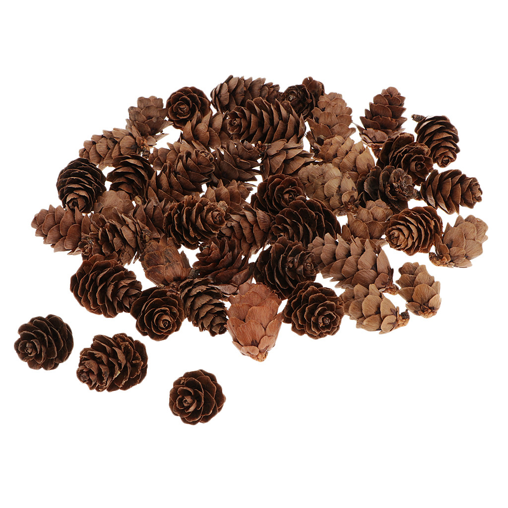 60 Natural Pine Cones 1 2cm Pine Cones Florist Crafts for Home Table Ornaments | Walmart (US)