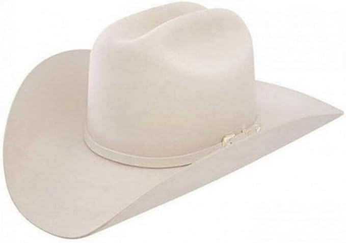 Stetson Oak Ridge Western Hat | Amazon (US)