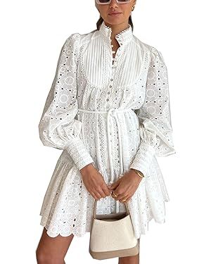 Roiii Women A-Line Lace Loose Baroque Button Down Long Sleeve Casual Dresses V Neck Embroidery Pa... | Amazon (US)