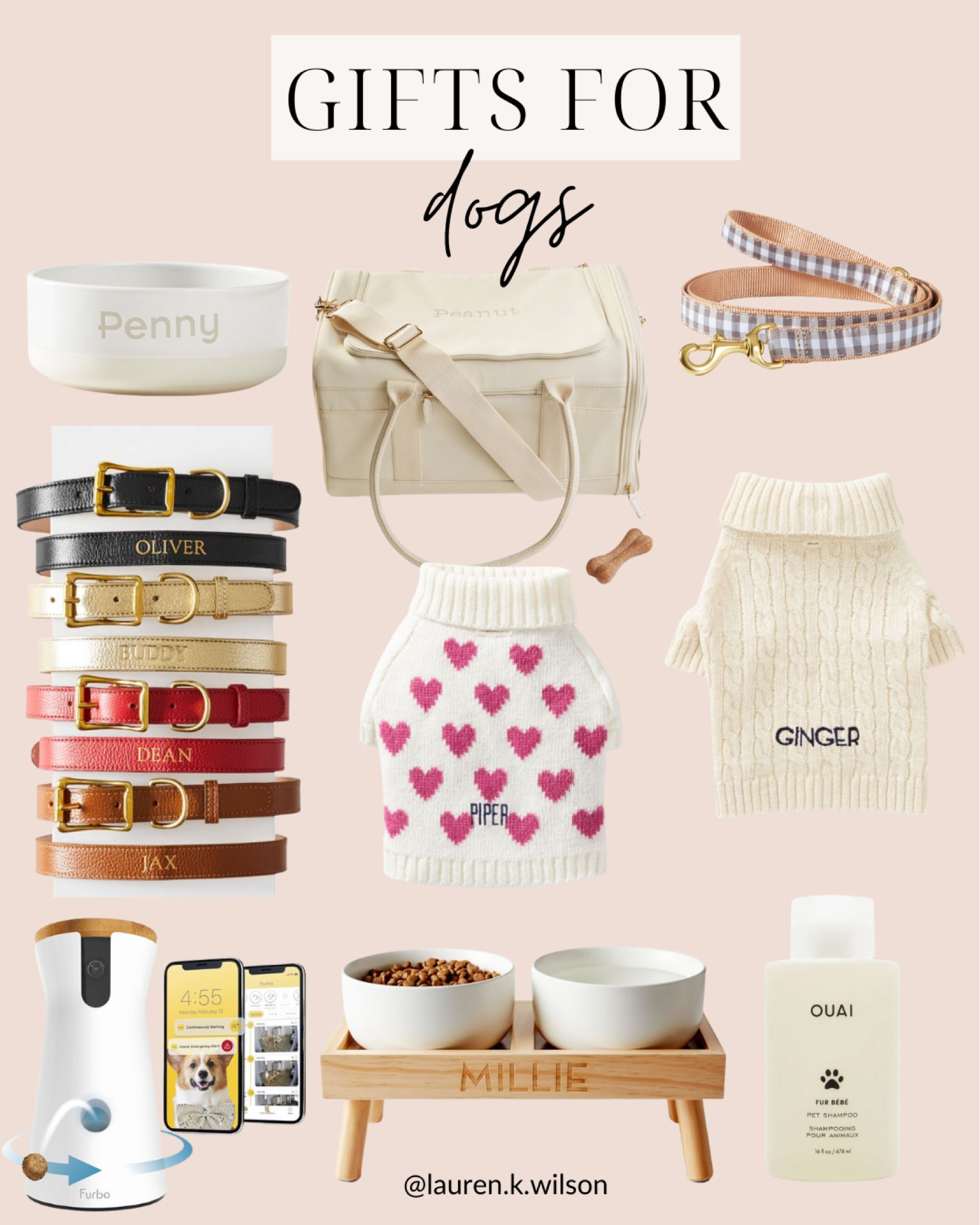 Gifts for dogs, pet carrier, leash, dog collar sweater shampoo dog bowl furbo 

#LTKSeasonal #LTKGiftGuide #LTKHoliday