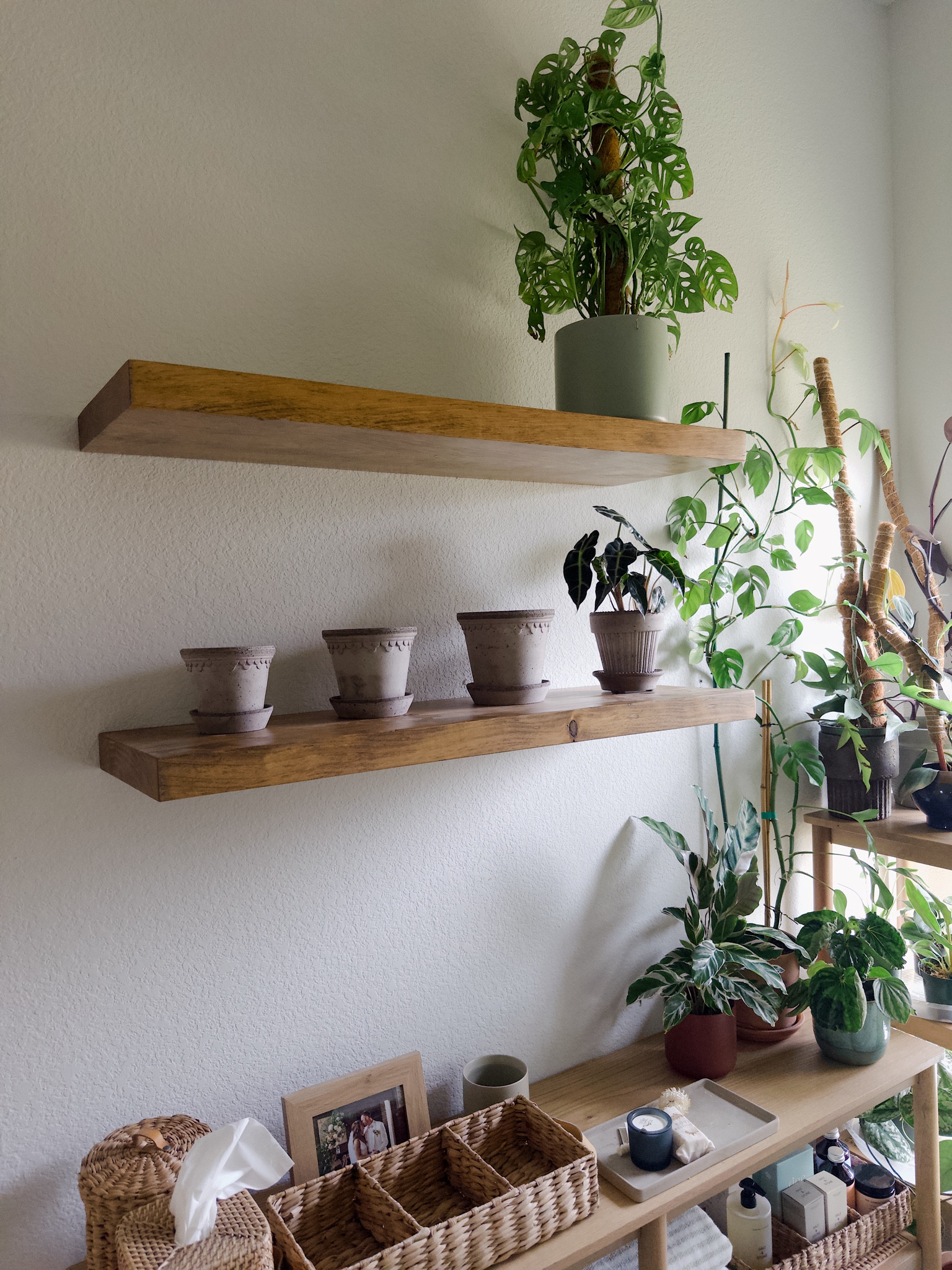 These beautiful shelves were easy for my husband to install and so high quality! I chose the aged oak color. Also shop these beautiful terracotta pots I am so obsessed with right now.

#LTKhome #LTKstyletip #LTKU