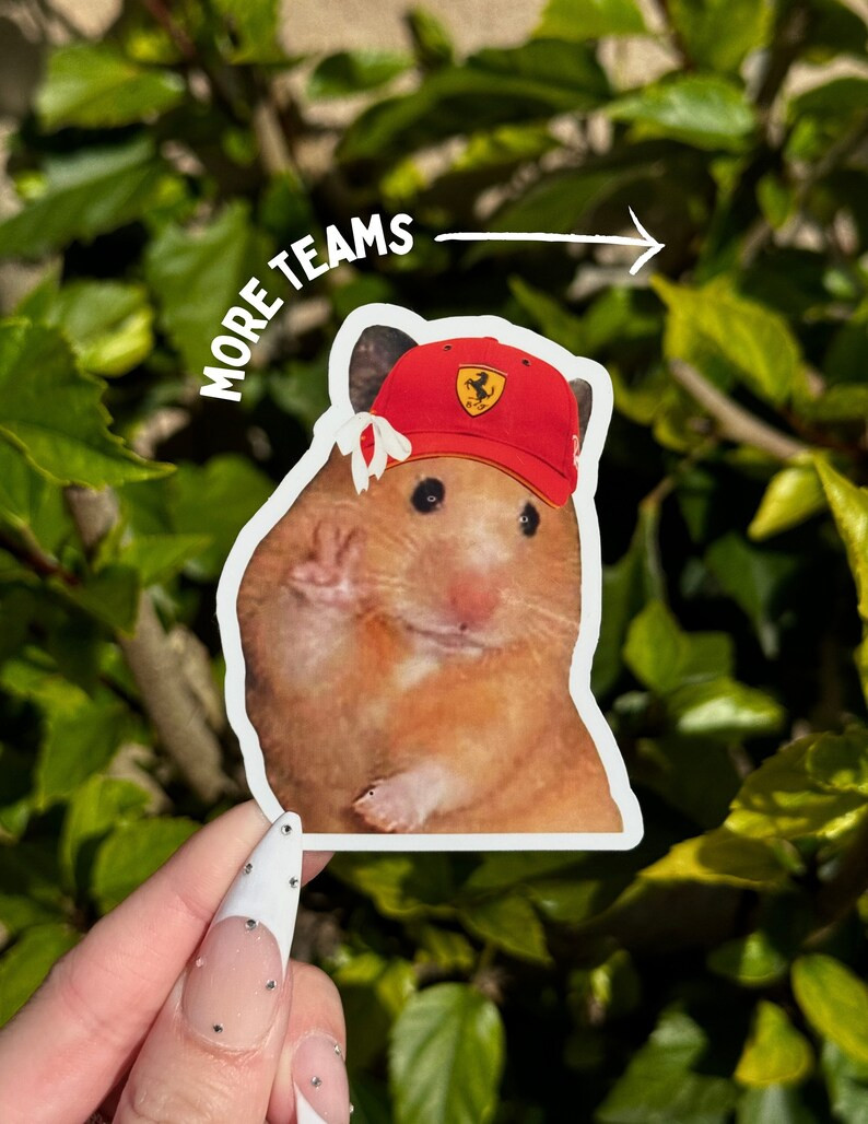 Formula 1 Cute Mouse Sticker | F1 Cute Sticker | Cute Sticker For Notebooks, Water Bottles, Lapto... | Etsy (US)