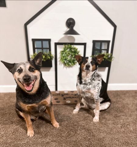 When we moved into our house, we really wanted to have a space for our dogs. So, we put in a dog house under out basement stairs. Now, several of the items we used for the exterior are on sale on Amazon!

#LTKsalealert #LTKhome #LTKfamily