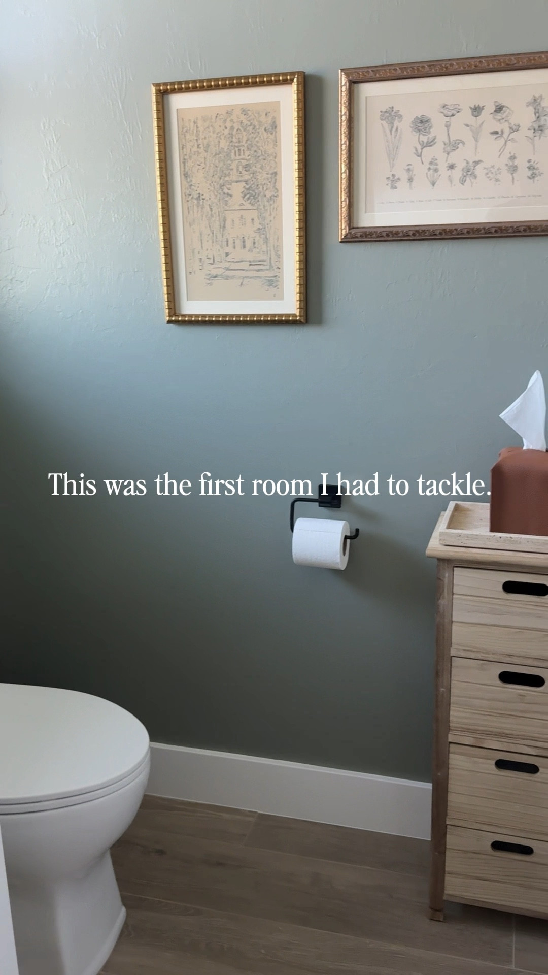 Moody Bathroom Refresh 

Paint color: sherwin williams evergreen fog 
Sharing all the details including hardware, tissue box, art, and tp storage 