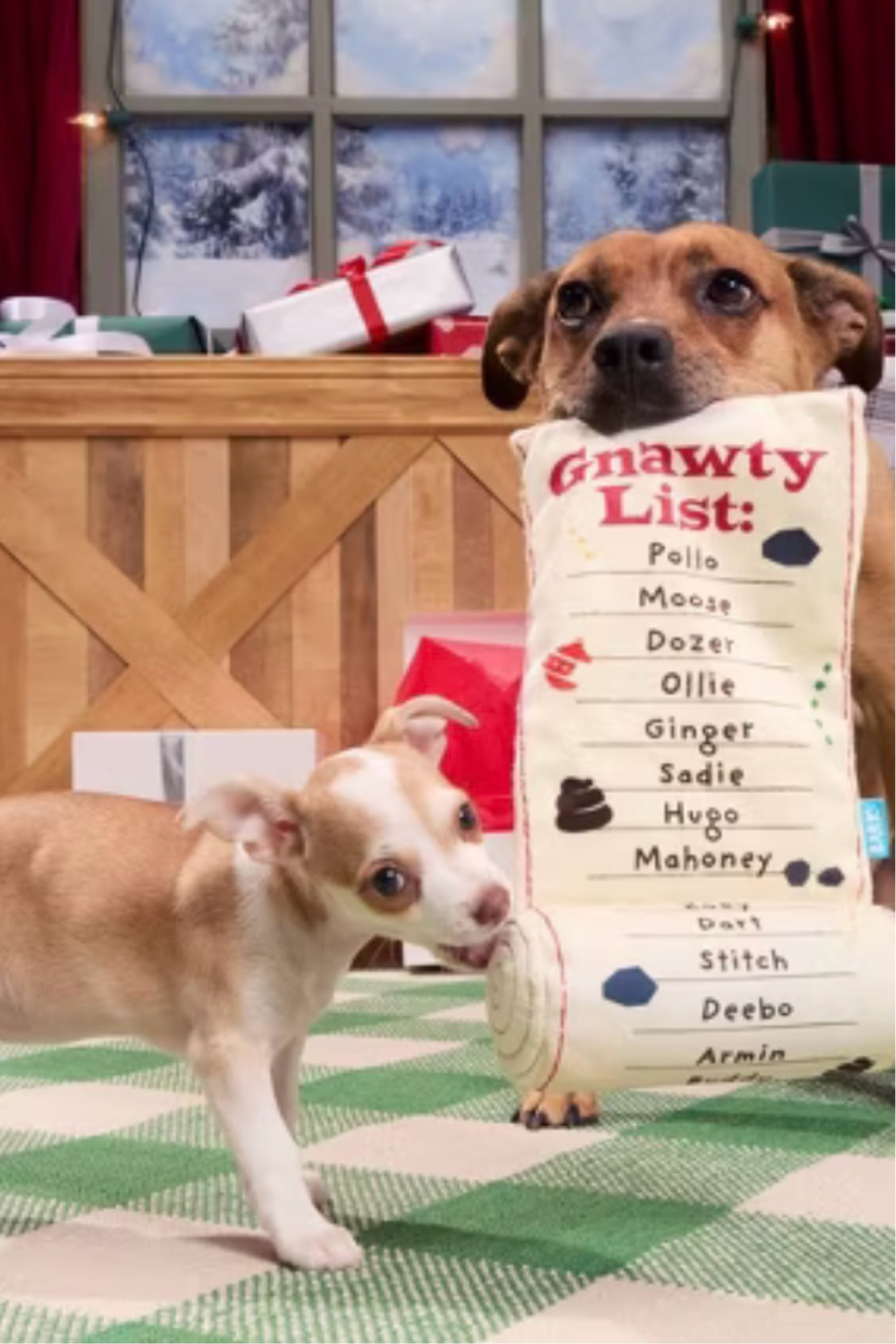 If your dog didn’t make it on the nice list, now is their time to destroy the evidence! 

#LTKFamily #LTKCyberWeek #LTKHoliday