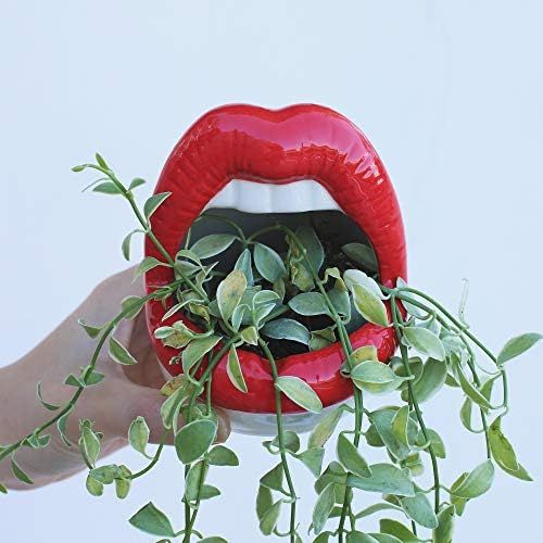 YIKUSH Plant Pot Ceramic Planter Creative Succulent Planter Sexy Red Lip Planter for Indoor&Outdoor  | Amazon (US)