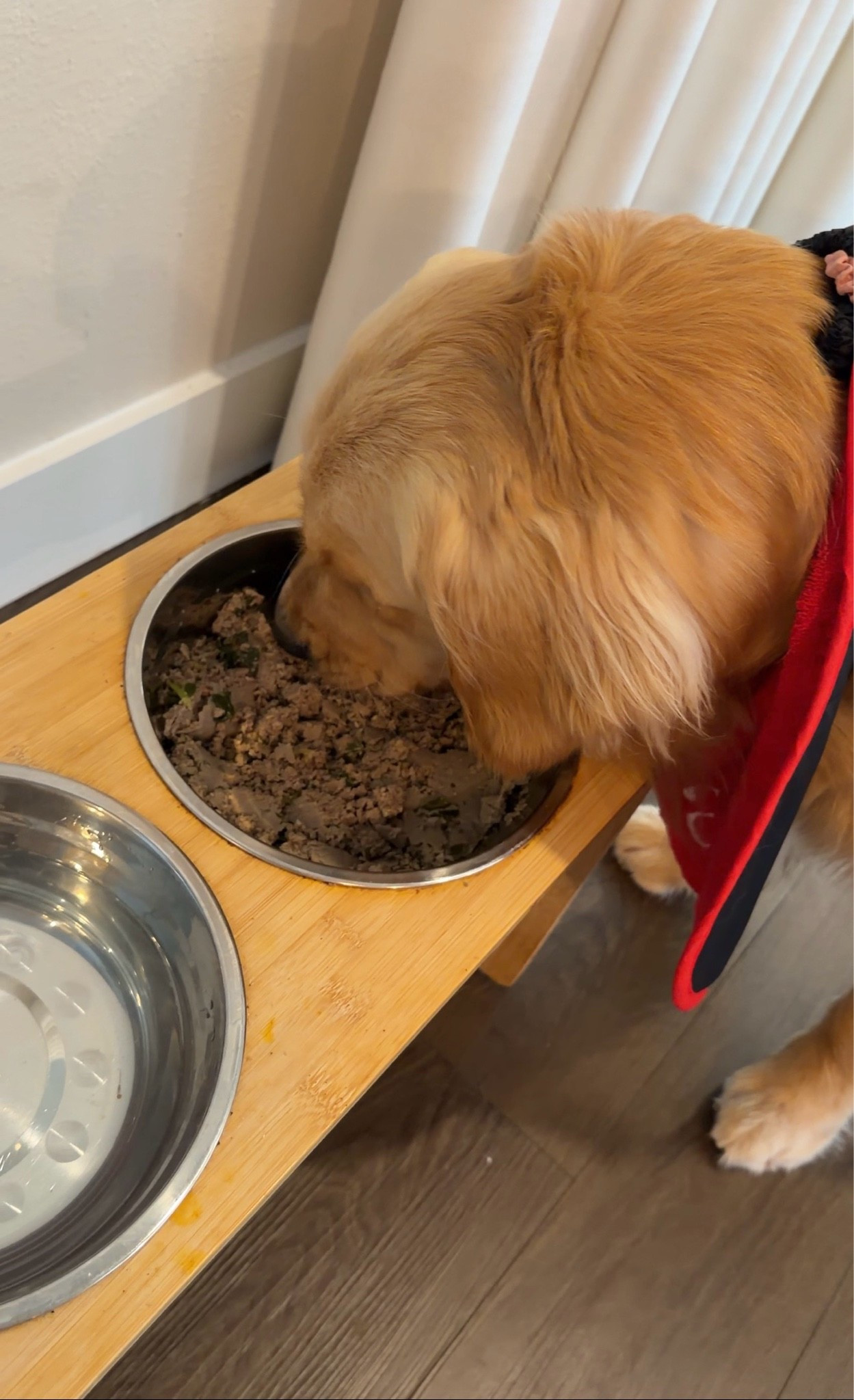 Use my link for 60% off your first box of real, fresh food from @thefarmersdog #tfdpartner #thefarmersdog
