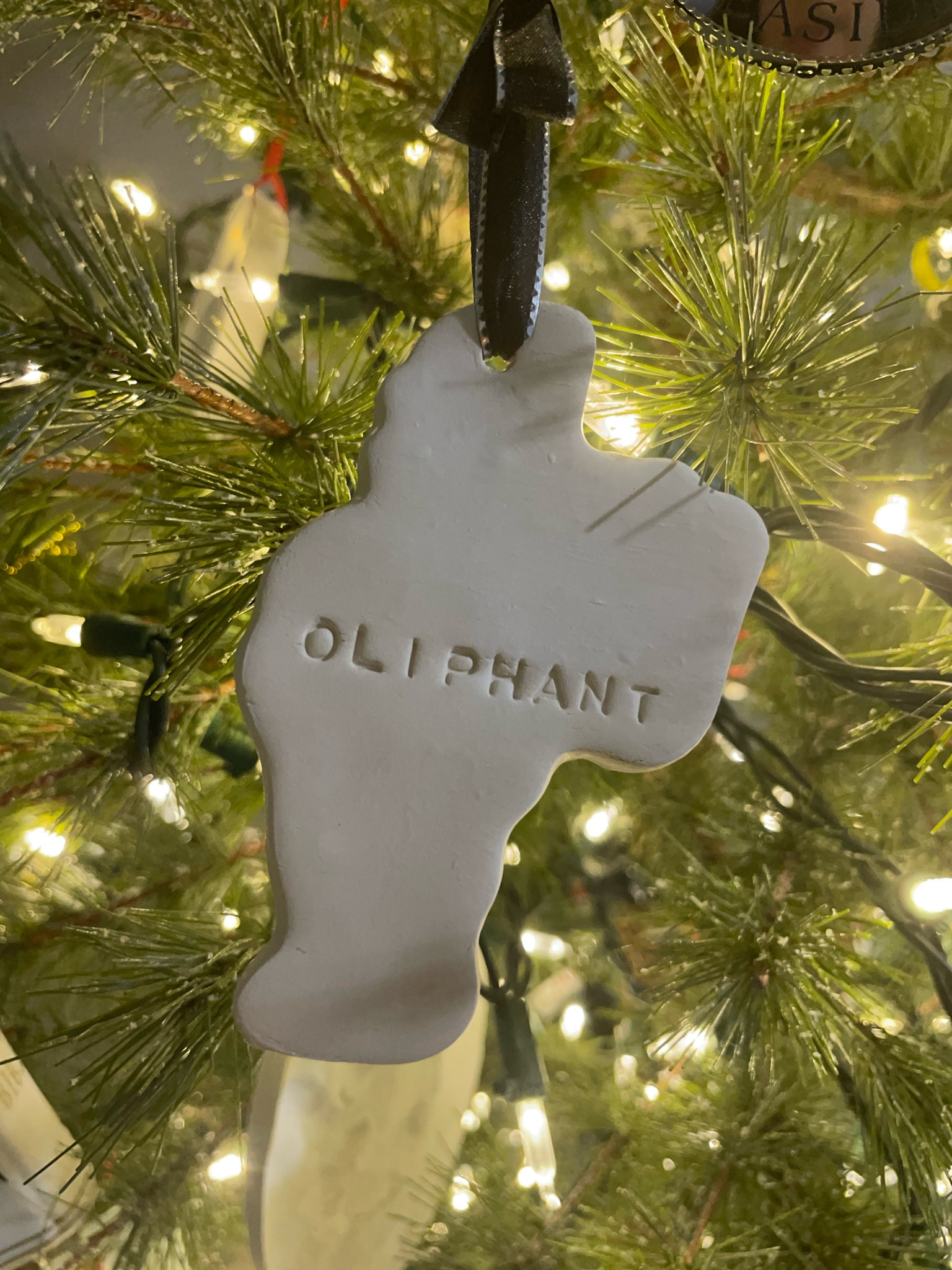 Cookie cutter ornamentt

#LTKHoliday #LTKHome #LTKSeasonal