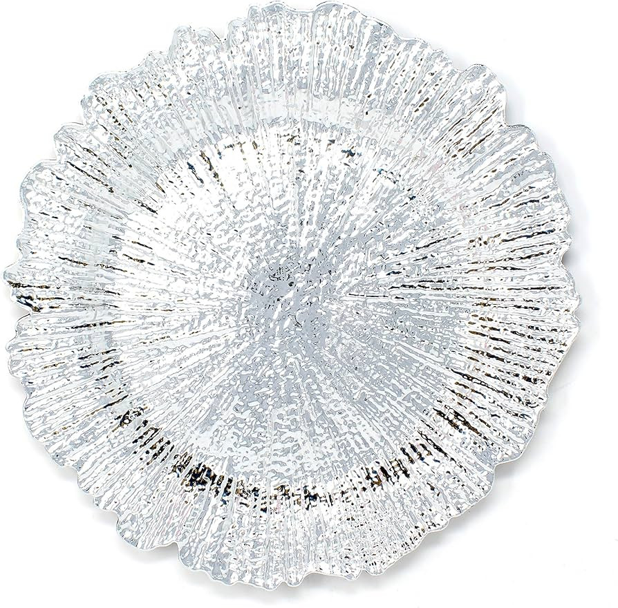 Plastic Reef Charger Plates Glossy Finish - Set of 6 - Thick and Reusable - Silver | Amazon (US)