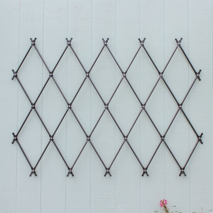 Iron Wall Mounted Lattice Trellis | West Elm (US)