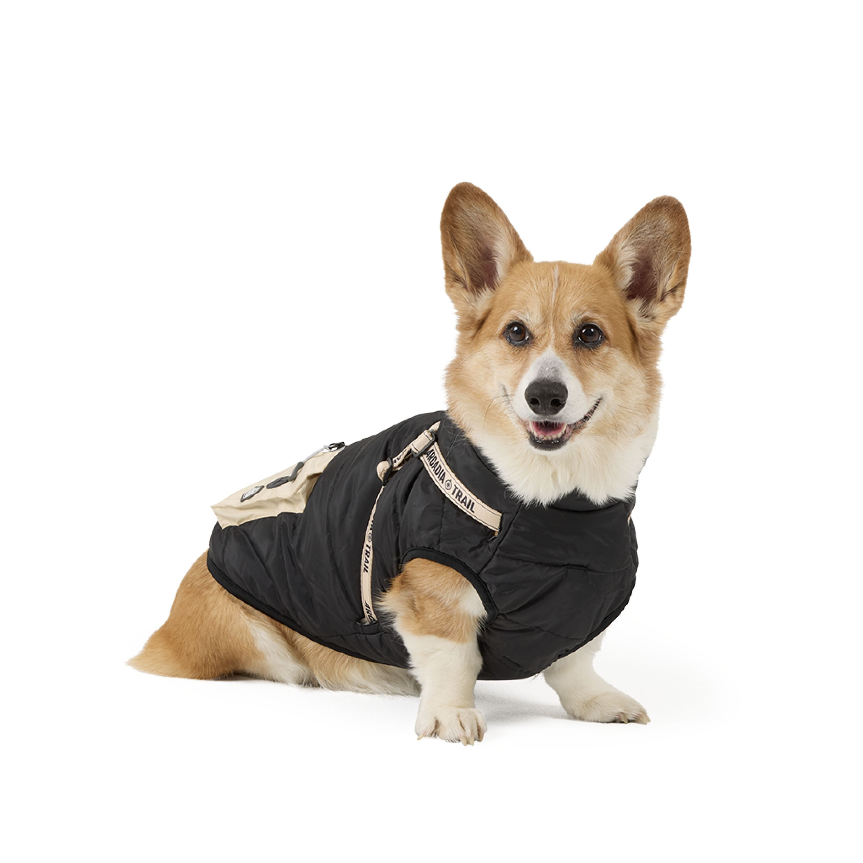 Arcadia Trail® Step-In Harness Coat | PetSmart