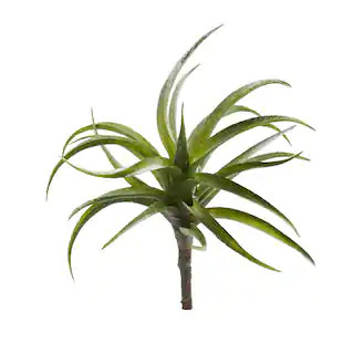 Air Plant Succulent Plant, 12ct. | Bushes | Michaels | Michaels Stores