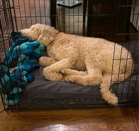 Super thick, high quality dog bed! I got this at a sale price but it is a good buy even at full price. The size medium is big enough for my 65lb standard poodle and fits perfectly in his big crate. One side is smooth cool fabric or flip it for a soft cozy Sherpa. Available in medium and large in 3 color options. 

#LTKfamily #LTKsalealert #LTKhome