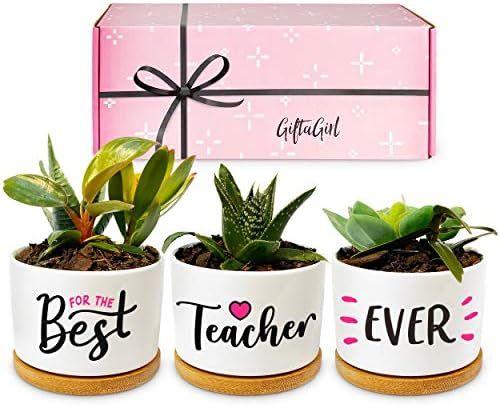 GIFTAGIRL Teacher Gifts for Women - Best Teacher Gifts for Christmas, Our Pretty Succulent Pots are  | Amazon (US)