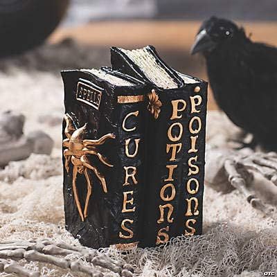 Fun Express Witch and Wizard Spellbook Tabletop Halloween Decoration - Halloween Home Decor | Amazon (US)