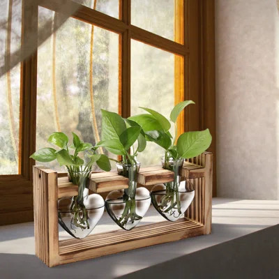 Plant Propagation Station with 3 Heart Shaped Glass Vases and Wooden Stand | Wayfair North America