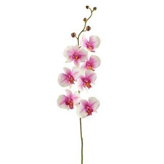 12 Pack: Pink & White Orchid Spray by Ashland® in Pink/White | 33" | Michaels® | Michaels Stores