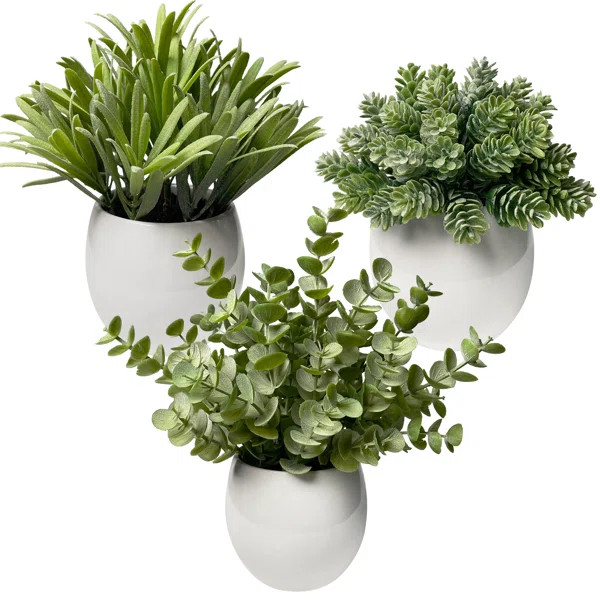 Digby Artificial Plant Eucalyptus in White Pot | Wayfair North America