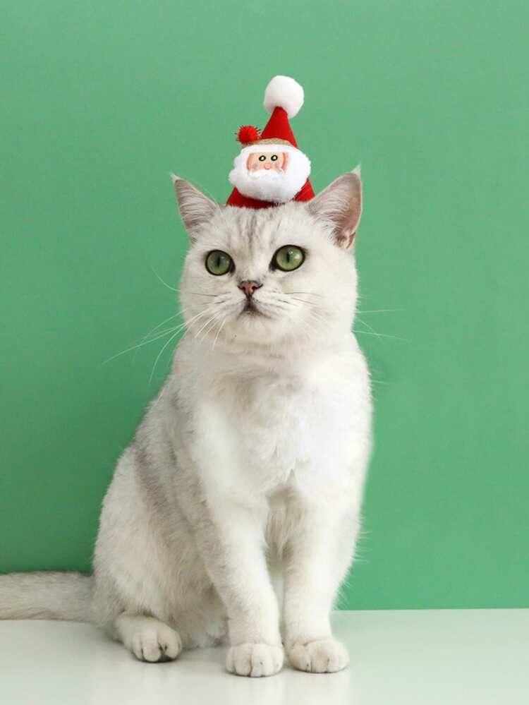 1pc Christmas Santa Decor Pet Hat | SHEIN