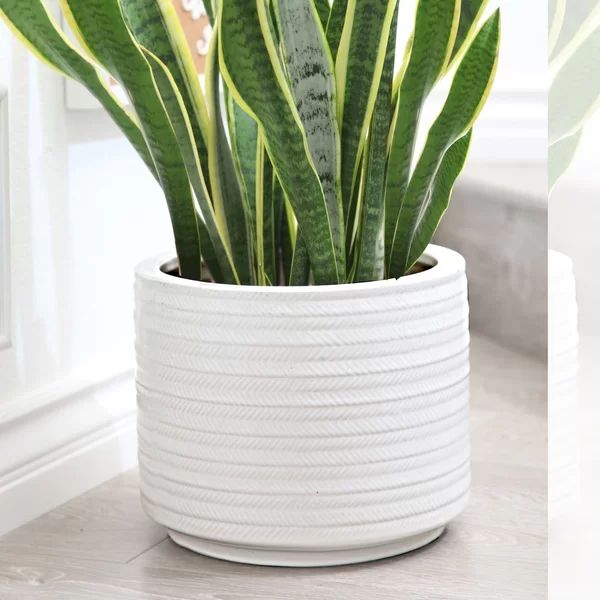 Clarice Ceramic Pot Planter | Wayfair North America