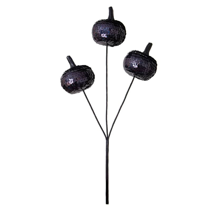 Black Pumpkins Pick, 12" | At Home