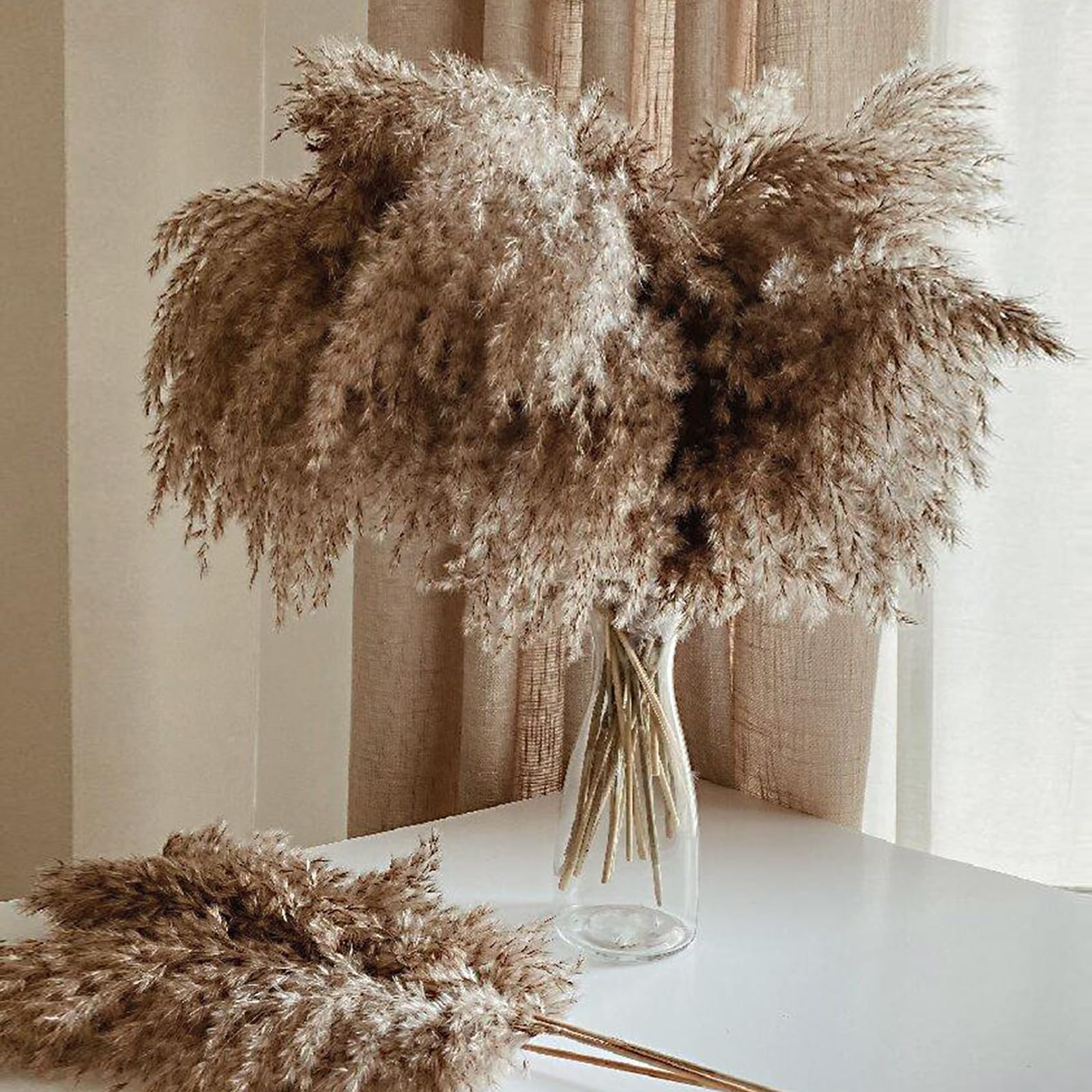 30 Stems Home Decor - Natural Dried Pampas Grass, Fluffy Brown Pompas Grass, Dry Small Pampas Bul... | Amazon (US)