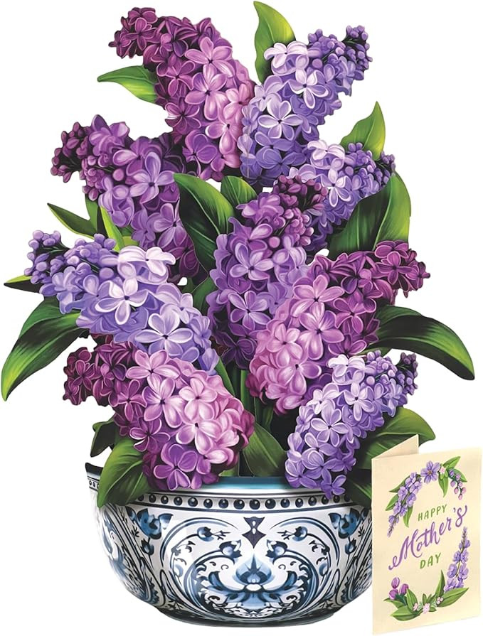 Freshcut Paper Mother's Day Garden Lilacs Pop Up Cards, 12 Inch Life Sized Forever Flower Bouquet... | Amazon (US)