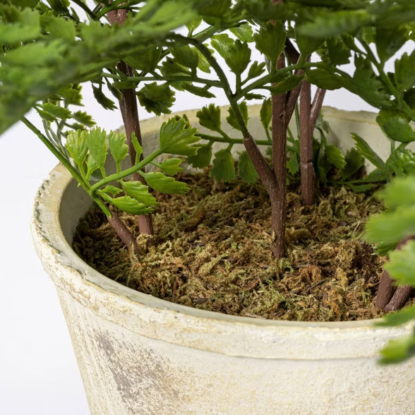 13" x 13" Artificial Fern Plant in Wood Pot - Threshold™ designed with Studio McGee | Target