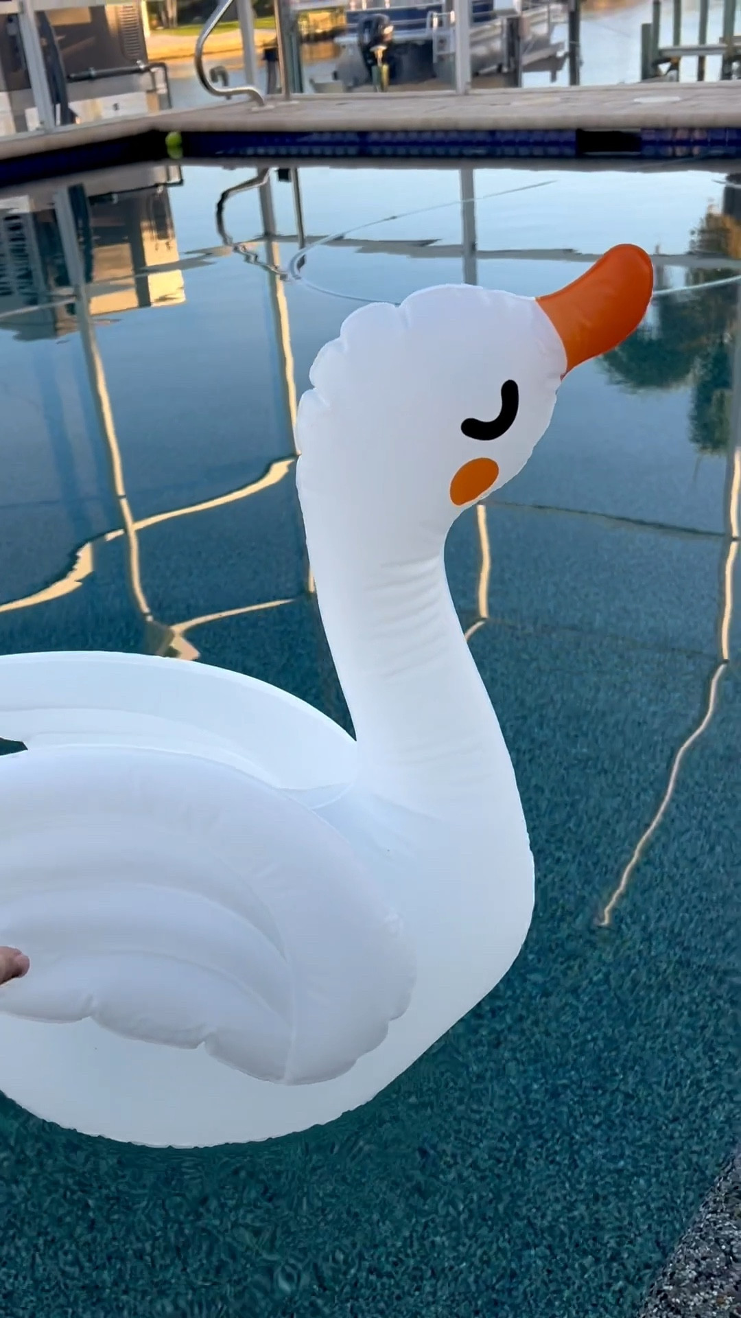 Have a pool? Want to make your outdoor living space more whimsical? I have a swanderful idea! 🦢💦💡#outdoorliving #outdoordecor #poolfloats #poollights #inflatables #amazonfind #swandecor #swan

#LTKFindsUnder50 #LTKSeasonal #LTKHome