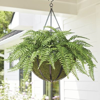 Classic Fern Hanging Basket | Grandin Road | Grandin Road