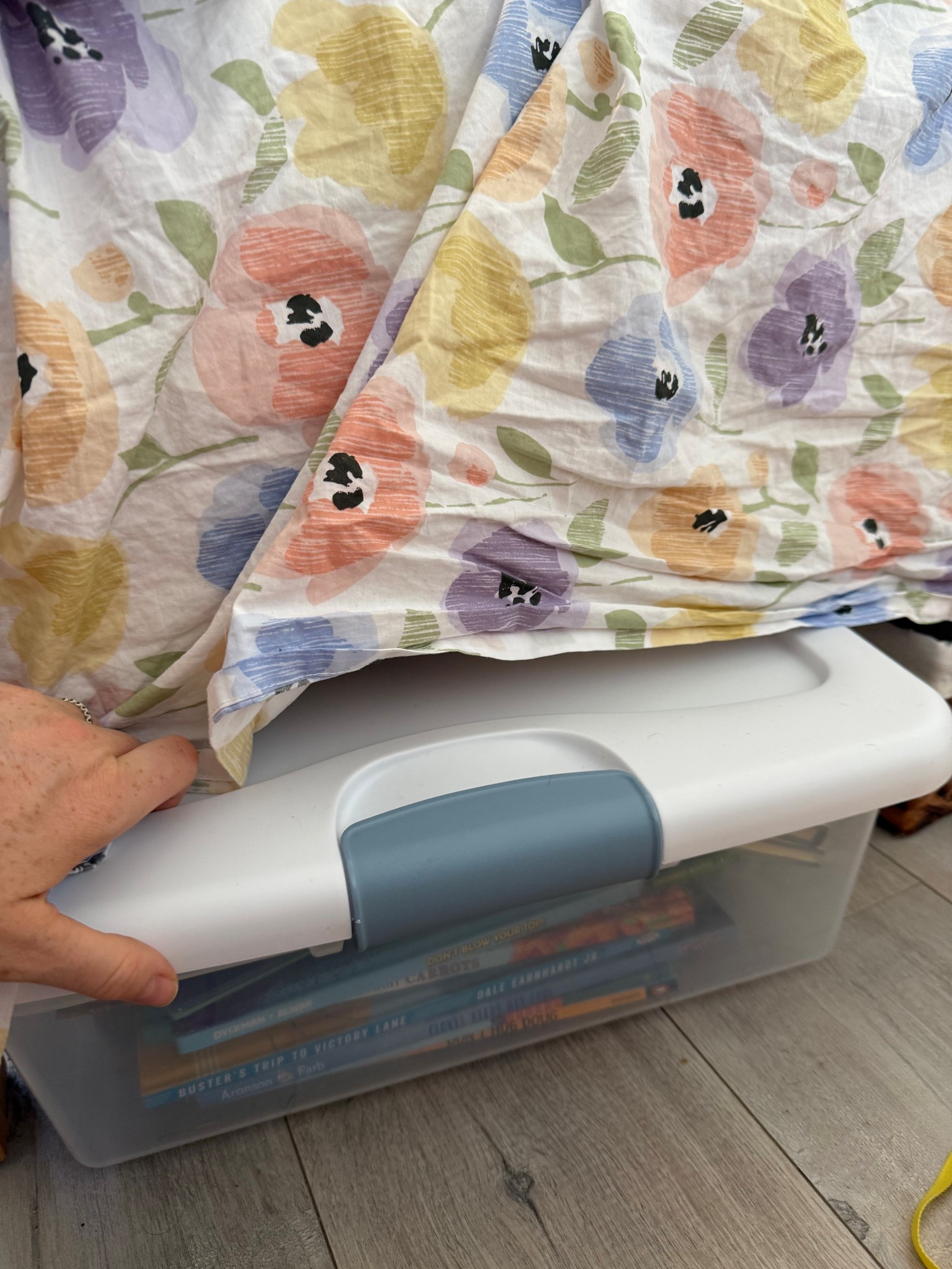 Long skinny under bed totes with wheels 

#LTKHome