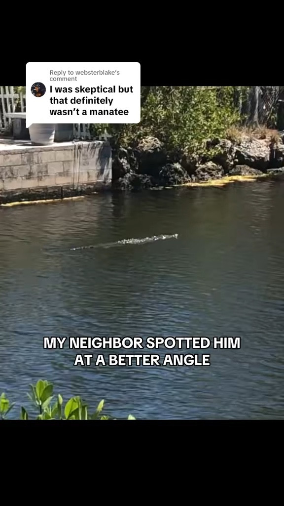 The tail swiveling 😳😱

#LTKSeasonal #LTKTravel #LTKSwim