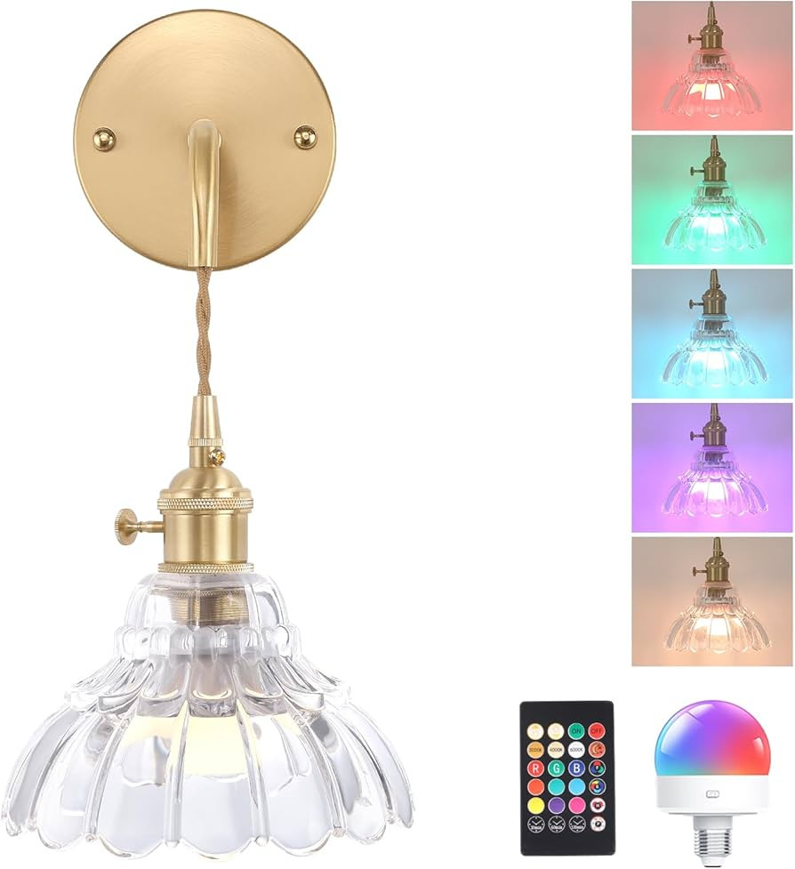 Battery Operated Wall Sconce Wall Lamp with Clear Lily of The Valley Shade Pattern Glass Adjustab... | Amazon (US)