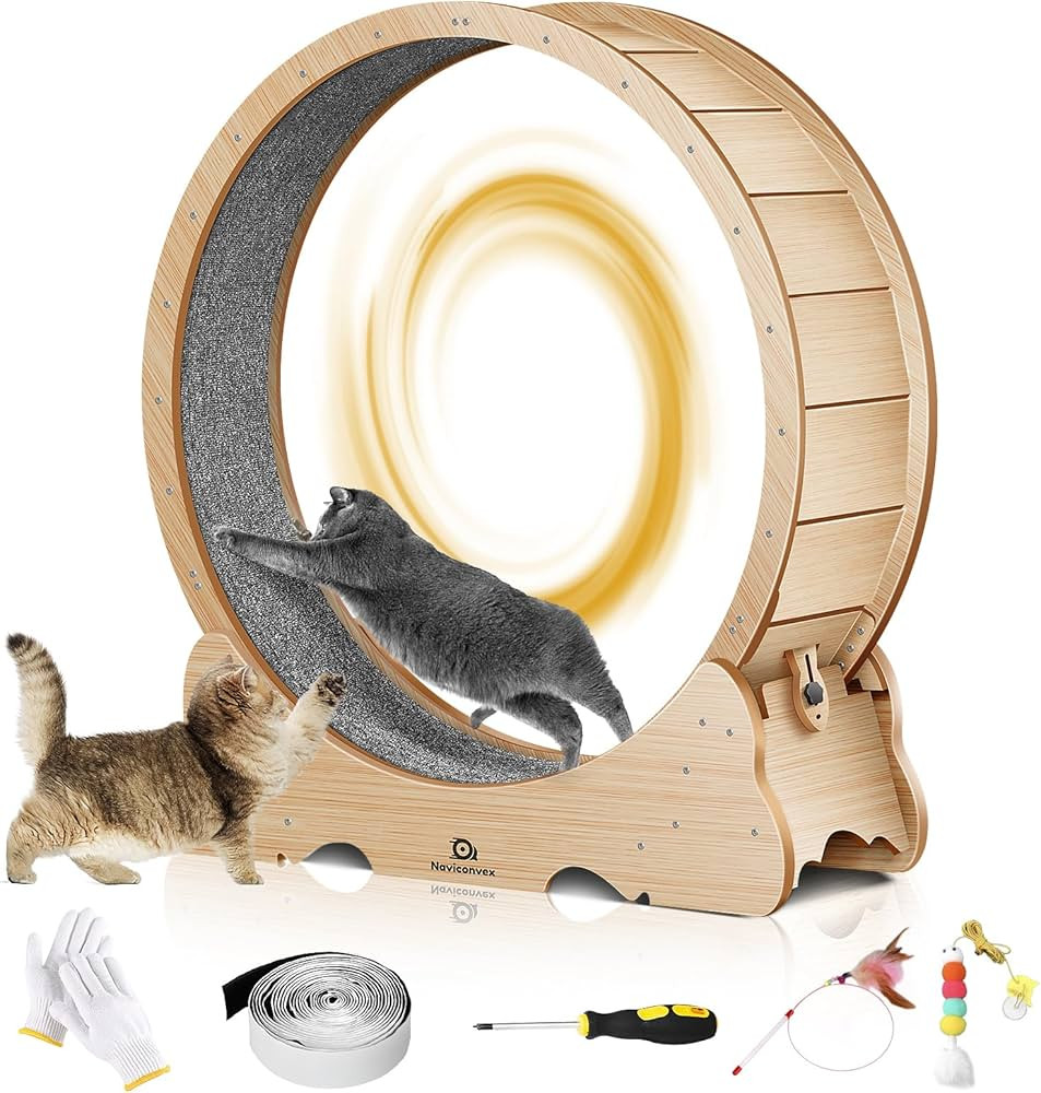 Cat Wheel, 48" XL Large Cats Exercise Running Wheel, Cat Treadmill for Indoor Cats | Amazon (US)