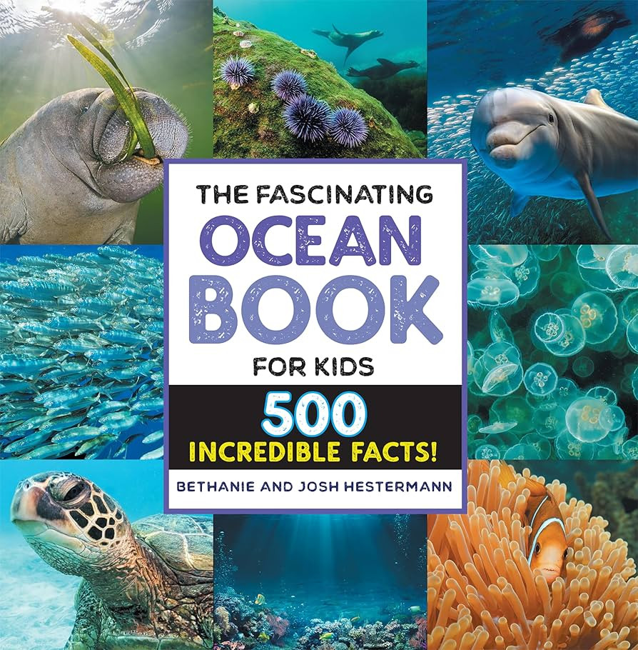 The Fascinating Ocean Book for Kids: 500 Incredible Facts! (Fascinating Facts) | Amazon (US)