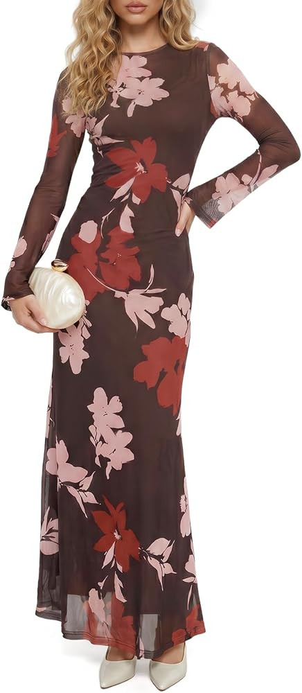 Wenrine Womens Long Sleeve Maxi Dress Floral Mesh Wedding Guest Dresses | Amazon (US)